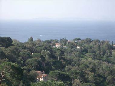 Ferienhaus in La Croix Valmer (Var) oder Ferienwohnung oder Ferienhaus