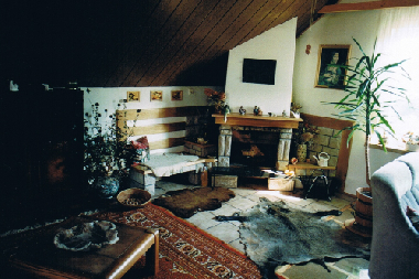 Kamin + Wohnzimmer