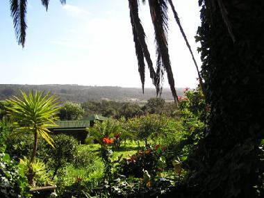 Blick auf die Holzhuschen vom Haus der Vermieterin