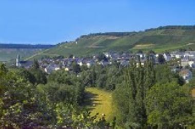 Ferienhaus in Maring-Noviand (Mosel - Saar) oder Ferienwohnung oder Ferienhaus