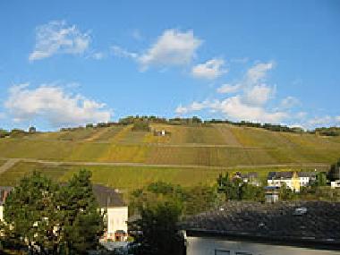 Ferienhaus in Maring-Noviand (Mosel - Saar) oder Ferienwohnung oder Ferienhaus