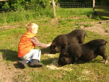 Unseren Sohn Robin mit den Miss Piggy und Bertha