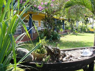 Blick auf die Terasse