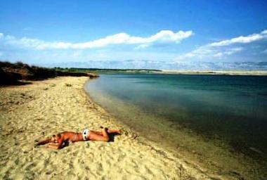 Ferienwohnung in Povljana (Zadarska) oder Ferienwohnung oder Ferienhaus