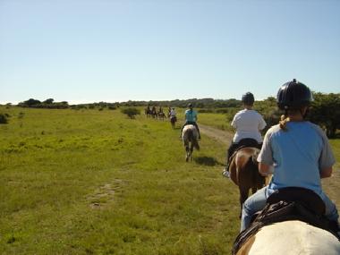 Hotel in Bohnert:N�he Kappeln/Eckernf�rde (Ostsee-Festland) oder Ferienwohnung oder Ferienhaus
