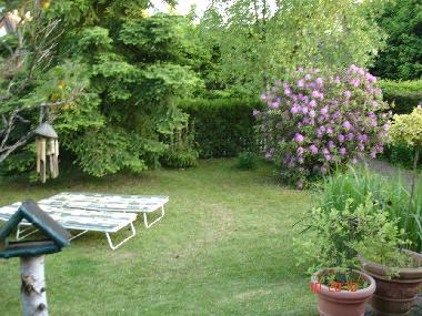 Garten im Sommer