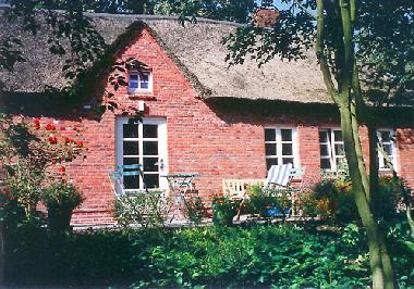 vorderansicht mit terrasse