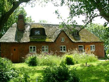 rckansicht mit garten