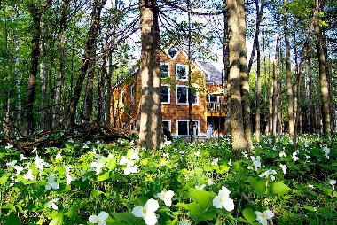 Ferienhaus in Harbor Springs (Michigan) oder Ferienwohnung oder Ferienhaus