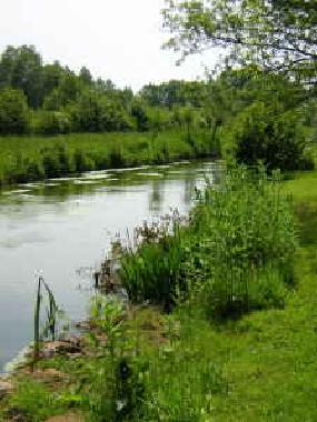 Ferienhaus in Saint Denis-le-Thiboult (Seine-Maritime) oder Ferienwohnung oder Ferienhaus