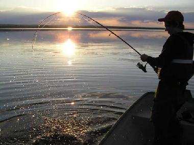 Ferienhaus in Sunnana hamn, Mellerud (Dalsland) oder Ferienwohnung oder Ferienhaus