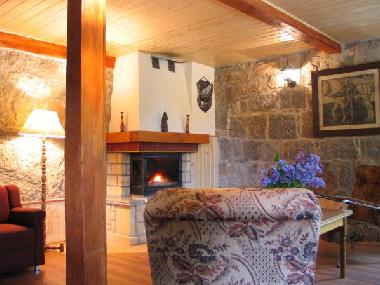 Apartment Nr 2, Teil mit Kamin