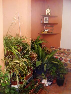 Ferienhaus in Chite (Granada) oder Ferienwohnung oder Ferienhaus