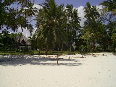 Ferienhaus in Diani (Coast) oder Ferienwohnung oder Ferienhaus