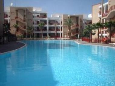 Ferienwohnung in Palm Mar (Teneriffa) oder Ferienwohnung oder Ferienhaus