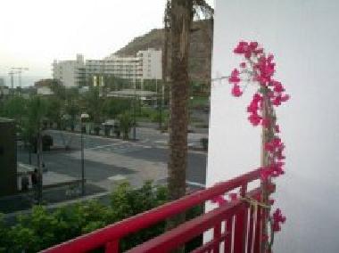 Ferienwohnung in Palm Mar (Teneriffa) oder Ferienwohnung oder Ferienhaus