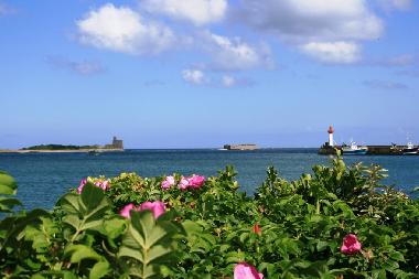 Ferienhaus in Saint-Vaast la Hougue (Manche) oder Ferienwohnung oder Ferienhaus
