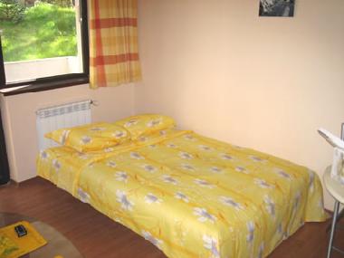 Ferienwohnung in Borovets (Sofiya) oder Ferienwohnung oder Ferienhaus