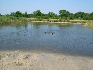 Unser Badesee mit Sandstrand. Hunde sind herzlich willkommen!
