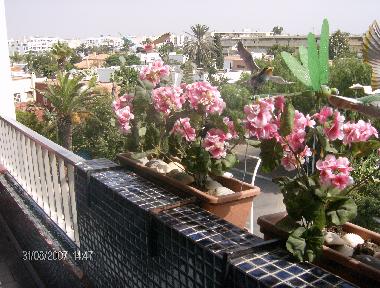 Ferienwohnung in CASABLANCA (Casablanca) oder Ferienwohnung oder Ferienhaus