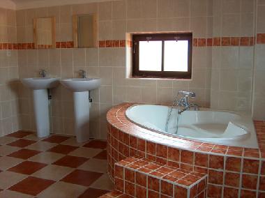 Ger�umiges luxuri�ses Badezimmer mit einer Badewanne und Dusche