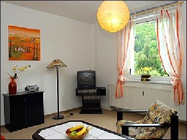 Ferienwohnung in Ilmenau OT Manebach (Thringer Wald) oder Ferienwohnung oder Ferienhaus