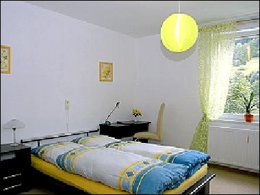 Ferienwohnung in Ilmenau OT Manebach (Thringer Wald) oder Ferienwohnung oder Ferienhaus