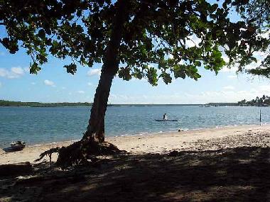 Der Flu�, mit auf den Hintergrund die Mangrovenw�ldern