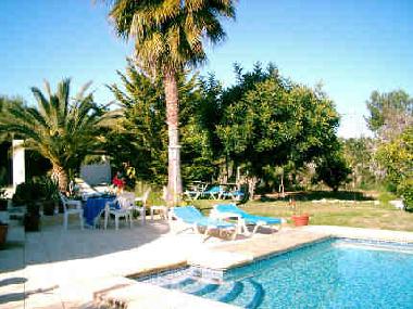 Grosse Sonnenterrasse mit Rasen und Pool