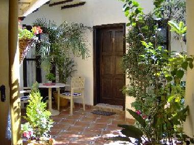 Ferienwohnung in Icod de los Vinos (Teneriffa) oder Ferienwohnung oder Ferienhaus