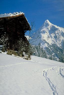 Ferienwohnung in Mayrhofen Ginzling (Tiroler Unterland) oder Ferienwohnung oder Ferienhaus