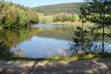 Ferienwohnung in Neureichenau (Niederbayern) oder Ferienwohnung oder Ferienhaus