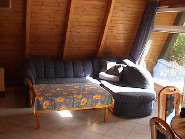Ferienhaus in Damp (Ostsee-Festland) oder Ferienwohnung oder Ferienhaus