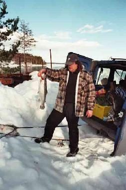 lachse und forelle schwedenhaus am see