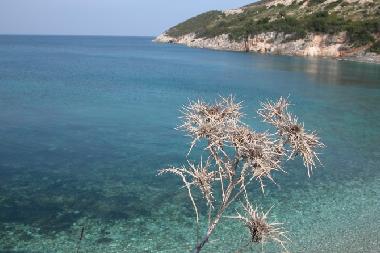 Ferienhaus in Volimes (Zakynthos) oder Ferienwohnung oder Ferienhaus