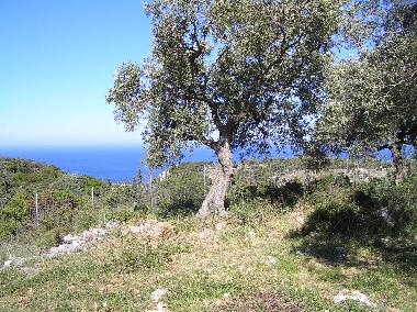 Ferienhaus in Volimes (Zakynthos) oder Ferienwohnung oder Ferienhaus