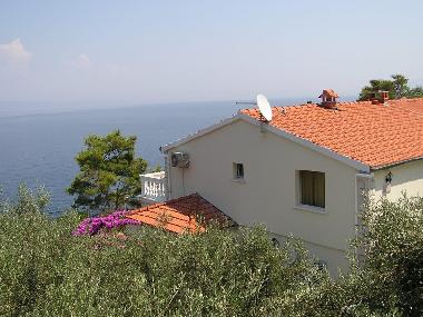 Ferienwohnung in Prigradica (island Korcula) (Dubrovacko-Neretvanska) oder Ferienwohnung oder Ferienhaus