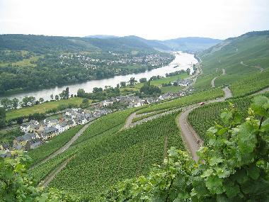 Mosel - Panorama