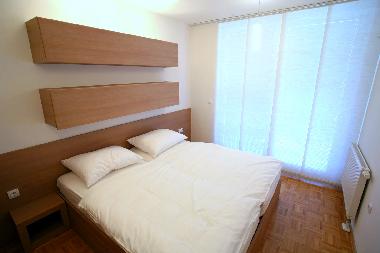 Ferienwohnung in Ljubljana (Ljubljana) oder Ferienwohnung oder Ferienhaus