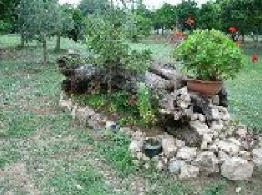 Pension in sparanise (Caserta) oder Ferienwohnung oder Ferienhaus