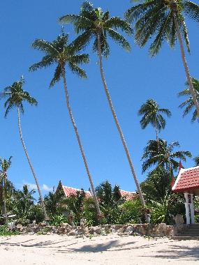 Ferienhaus in Bang por/ Maenam/ Koh Samui (Surat Thani) oder Ferienwohnung oder Ferienhaus