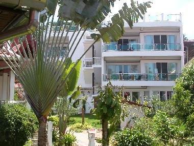 Ferienhaus in Bang por/ Maenam/ Koh Samui (Surat Thani) oder Ferienwohnung oder Ferienhaus
