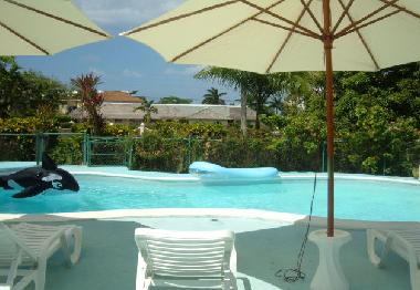 Ferienhaus in Ocho Rios (Saint Ann) oder Ferienwohnung oder Ferienhaus