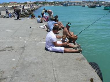 Ferienhaus in Struisbaai (Western Cape) oder Ferienwohnung oder Ferienhaus