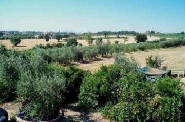 Ferienwohnung in pozzuolo (Perugia) oder Ferienwohnung oder Ferienhaus