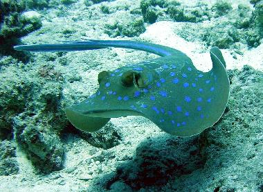 aufgenommen mit einer NIKON Coolpix 3200