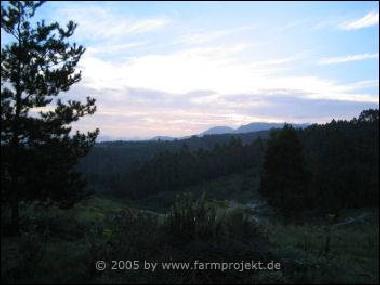 Natural-Spring-Farm am Abend