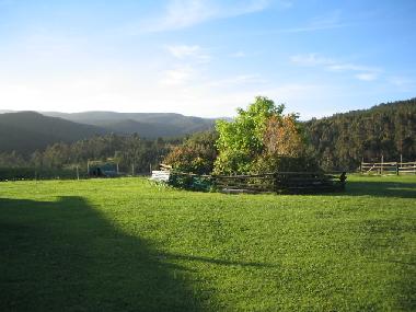 Ausblick vom Cottage aus gesehen