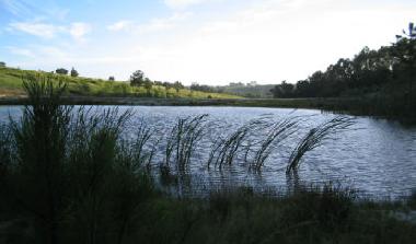 Kleiner See - oder gro�er Teich auf der Farm