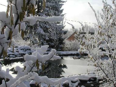 Schwimmteich im Winter